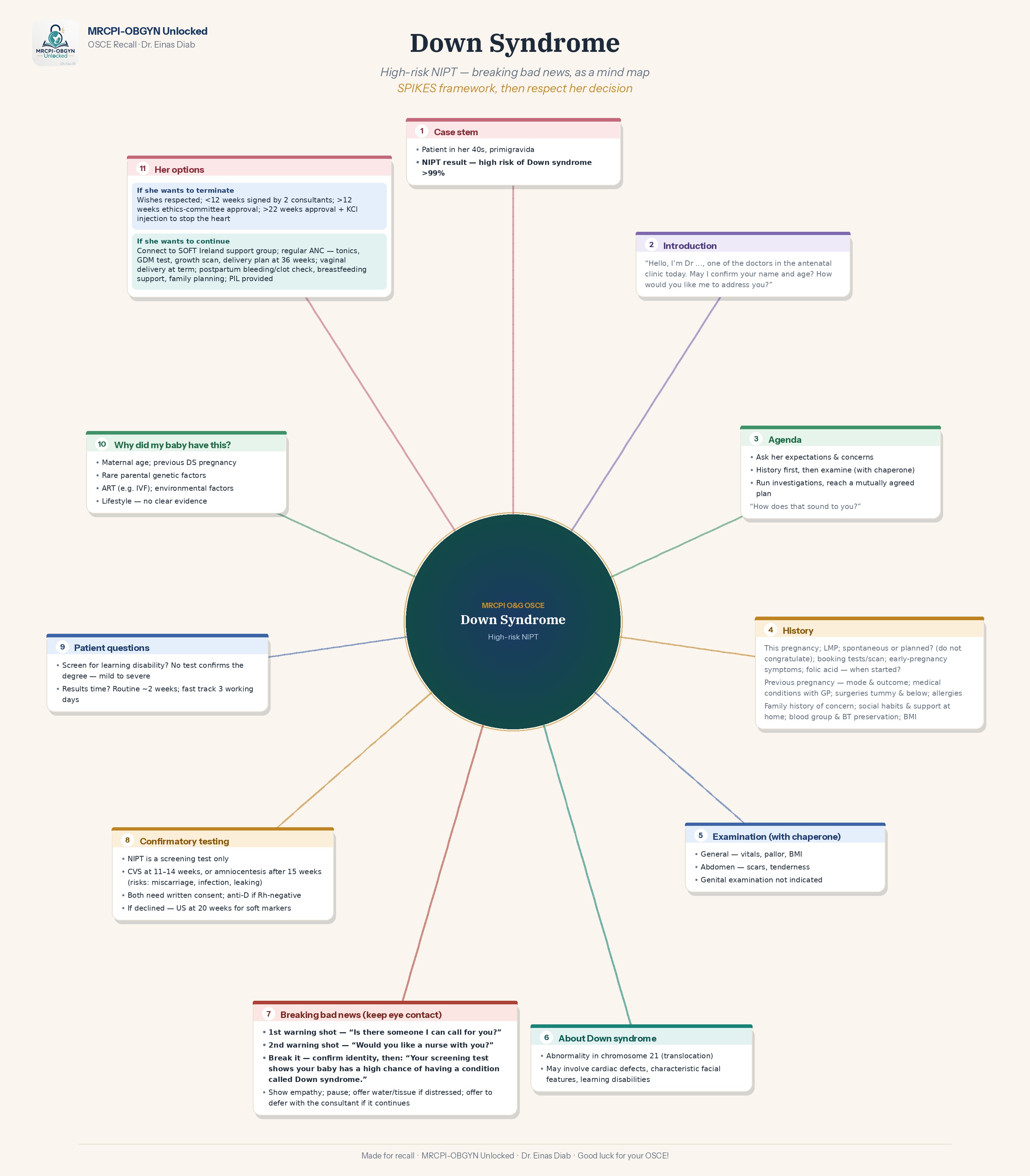 Down Syndrome Brain Map